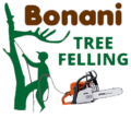 Bonani Tree Felling